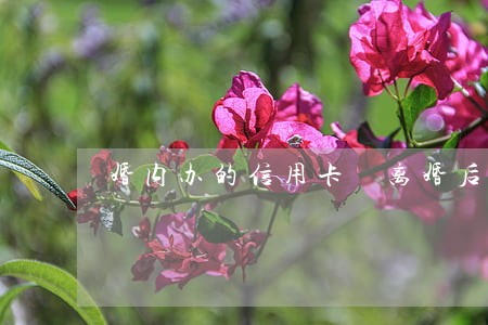 婚内办的信用卡 离婚后逾期 婚内办的信用卡 离婚后逾期
